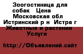 Зоогостиница для собак › Цена ­ 500 - Московская обл., Истринский р-н, Истра г. Животные и растения » Услуги   